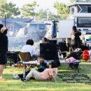 엠에스스쿨 노컷뉴스