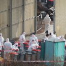 지금평사농장 이미지