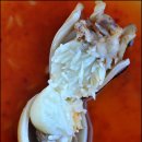 시장회타운 이미지