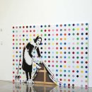 ​세계 곳곳에서 찾을 수 있는 뱅크시의 작품들 이미지