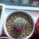 용옥농장 이미지