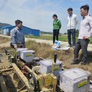 강진5호 이미지