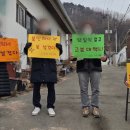 빗다 이미지