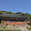 86 | 서산 개심사 반려견 동반가능, 기와불사 하고 온 후기