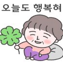 강릉땡큐 공인중개사사무소 이미지