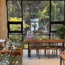 지금이 제일 예쁘다, 당일치기로 좋은 홍천 단풍뷰 카페 3선 이미지