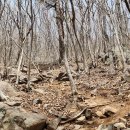 남해-197 이미지