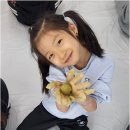 늘푸른 경희대 태권도장 네이버블로그