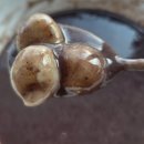 완주시니어클럽(빨간콩) | 만경강 뷰와 함께 즐기는 정성가득 '국산 팥죽'