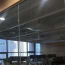 타코링링 이미지