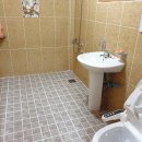 한옥과편백의 만남 이미지