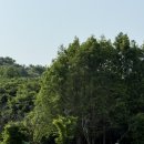 드림 스페이스 | 경기도 동물 먹이주기 체험 카페 수원 드림아트스페이스 후기