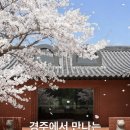 행복열쇠도장 | 리바이포유 경주 감사팝업 방문 후기