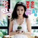 조은날커피