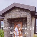하도 생각나 네이버블로그