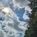 레드폭스 민박 이미지