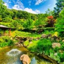 올림픽밸리 이미지