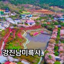 강진-30 | 강진남미륵사 철쭉 축제 서부해당화 맛집 2026 총정리
