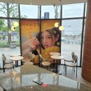 투썸플레이스점 - 강남구 테헤란로27길 16 | 투썸플레이스점