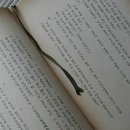 천망1