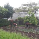 서광농장 이미지