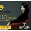 제나셀 이미지