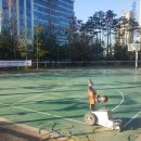 영덕레스피아 농구장 이미지