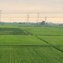 박카스모텔 이미지