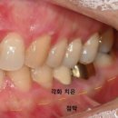 대구본플란트치과의원 이미지