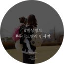 드루니