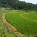 판대보건진료소 이미지