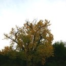 성당포구 이미지