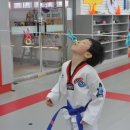 경성태권도 이미지