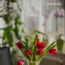 호선실버센터 네이버블로그