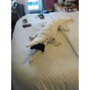 웰컴호텔 이미지