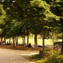 숲속의 쉼터 이미지