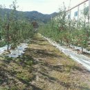 덕화농장 이미지