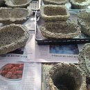 미란농장 이미지