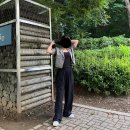 다리짧은 여시의 여름에도 저세상 편한 직장인룩 (돌려...