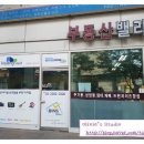 빈스몰