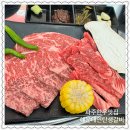 연탄생갈비파주운정점 | 다율동 고기집) "해운대연탄생갈비파주운정점" 주말외식 방문후기!