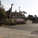 제주갈치대기정 이미지