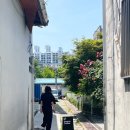 뽀뚜케이크