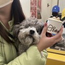 버터러버