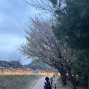 명산의원 | 인왕산 야간 산행 등산코스 (feat.명산100+)