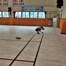 중부초등학교 이미지