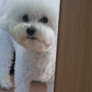건강한 베이커리(야간) 네이버블로그