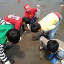 무창포해수욕장오토캠핑장 이미지