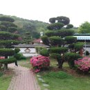 운림골농원 Daum카페