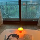 썸라유 이미지